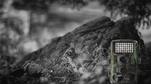 Discover the Excitement with the Wildlife Hunting Camera